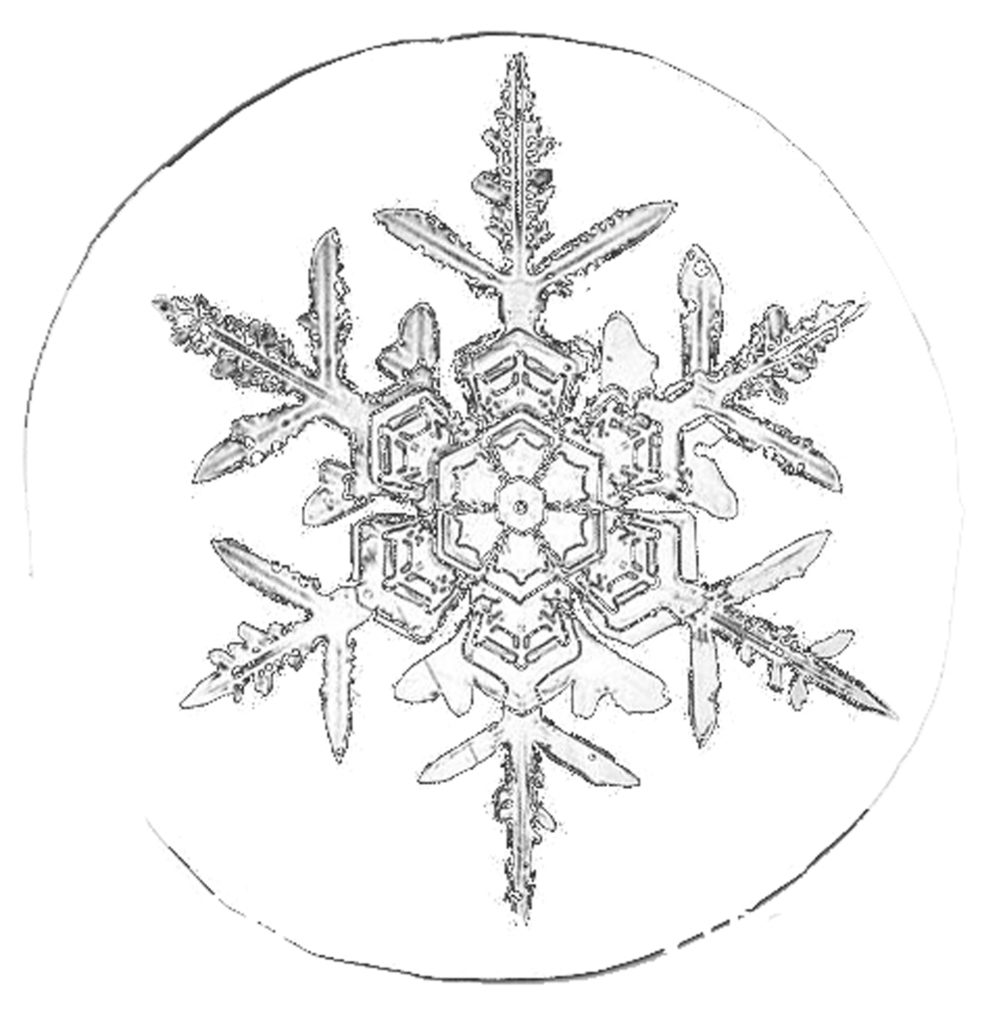A snow crystal